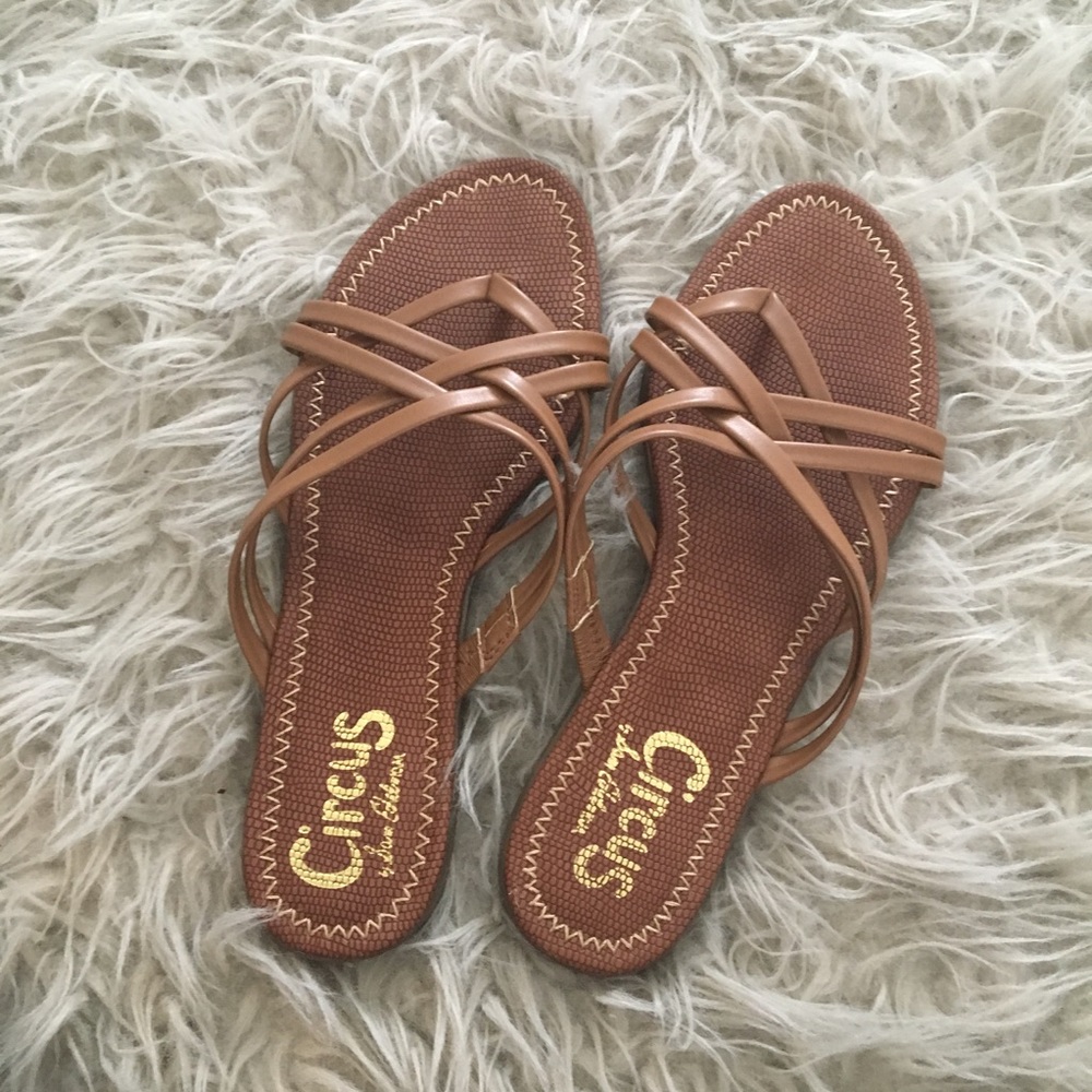 Brown Sandals (Brand New)